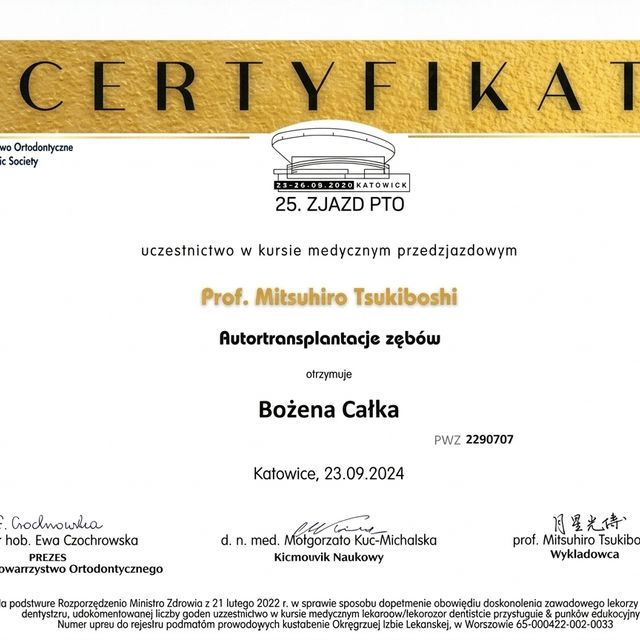 Powiększ obraz: certificate 13