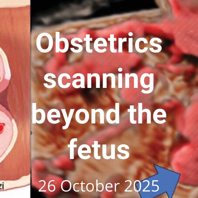 Powiększ obraz: certificate 148