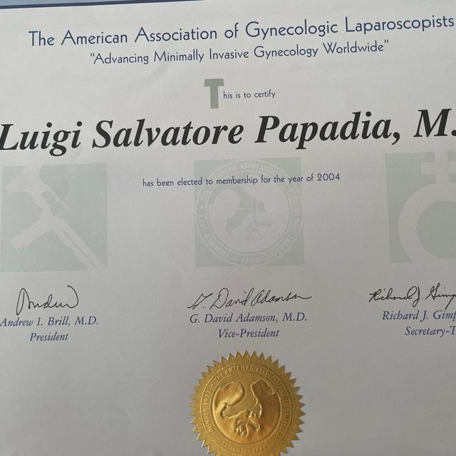 Ingrandire l'immagine: certificate 1