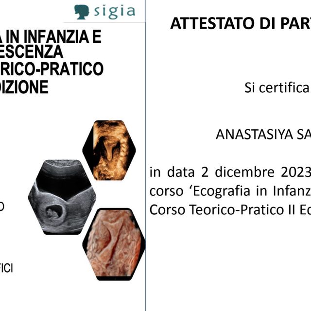 Ingrandire l'immagine: certificate 4
