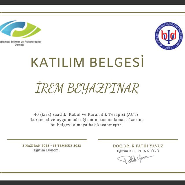 Resmi büyüt: certificate 1