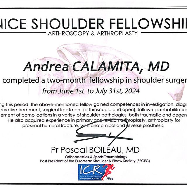 Ingrandire l'immagine: certificate 1