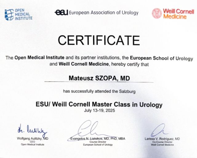 Powiększ obraz: certificate 4