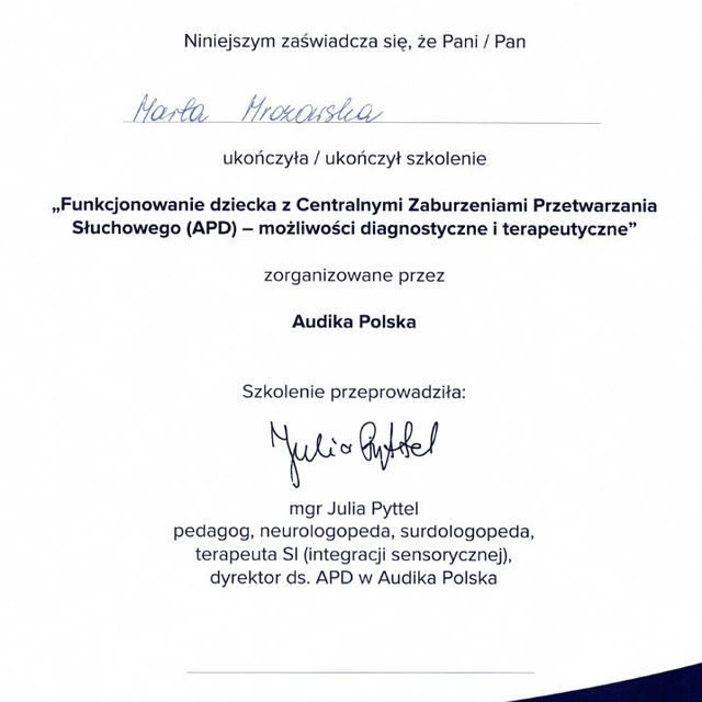 Powiększ obraz: certificate 1