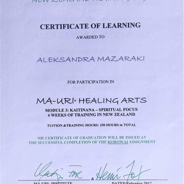 Powiększ obraz: certificate 5