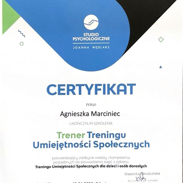 Powiększ obraz: certificate 1