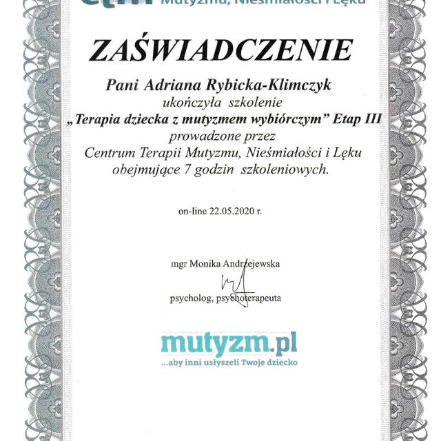 Powiększ obraz: certificate 4