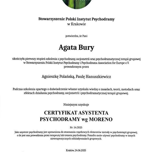 Powiększ obraz: certificate 1