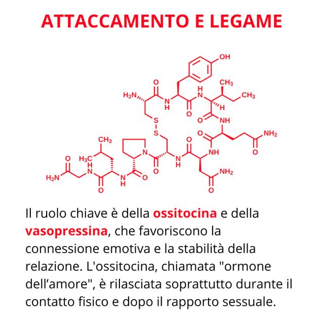 Ingrandire l'immagine: certificate 343