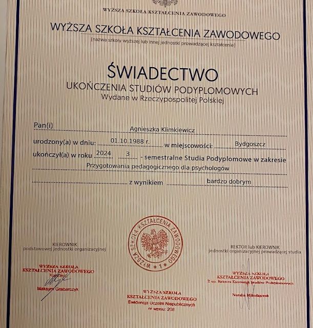 Powiększ obraz: certificate 1