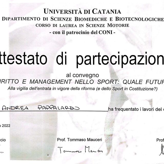 Ingrandire l'immagine: certificate 1
