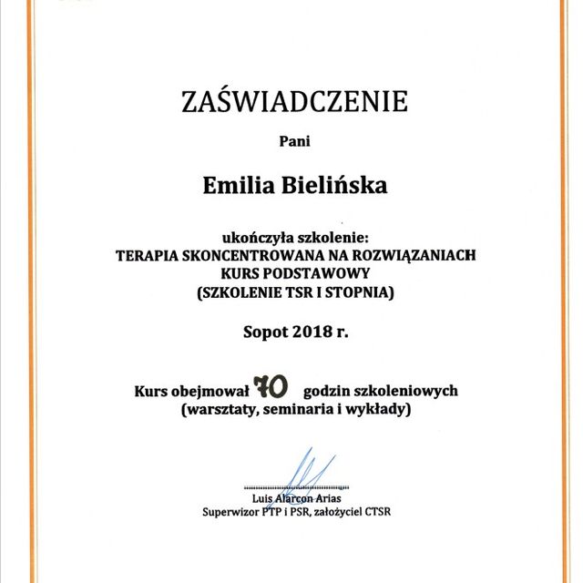 Powiększ obraz: certificate 2