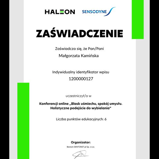 Powiększ obraz: certificate 7