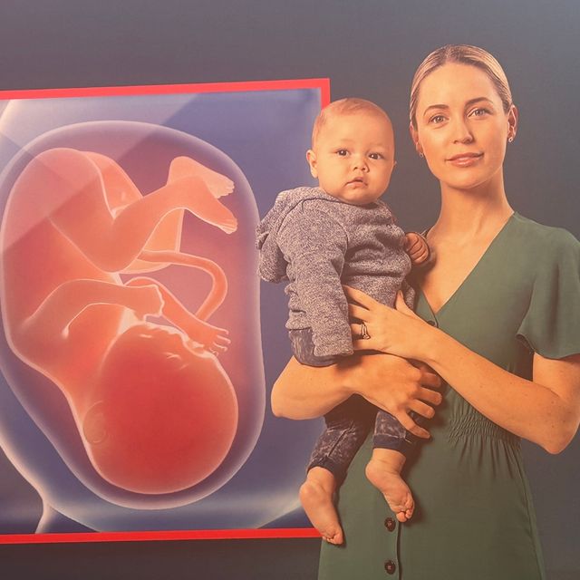 Powiększ obraz: certificate 120