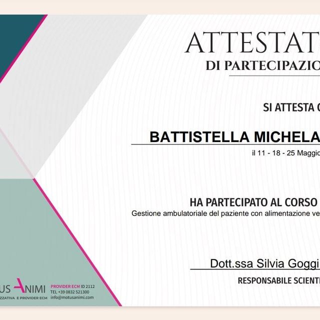 Ingrandire l'immagine: certificate 4
