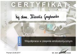 Powiększ obraz: certificate 3