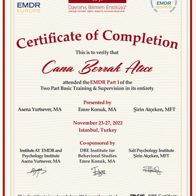 Resmi büyüt: certificate 2