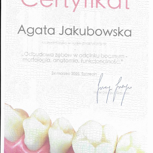 Powiększ obraz: certificate 1