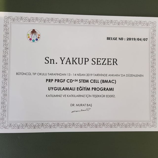 Resmi büyüt: certificate 2