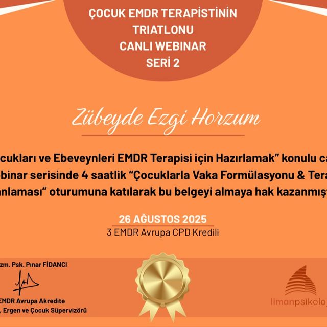 Resmi büyüt: certificate 3