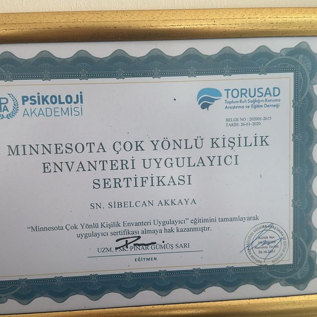 Resmi büyüt: certificate 10