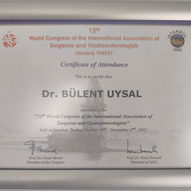 Resmi büyüt: certificate 2