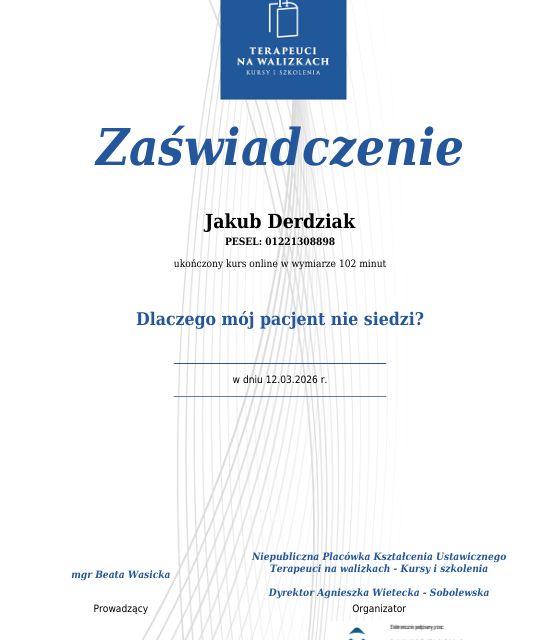 Powiększ obraz: certificate 2