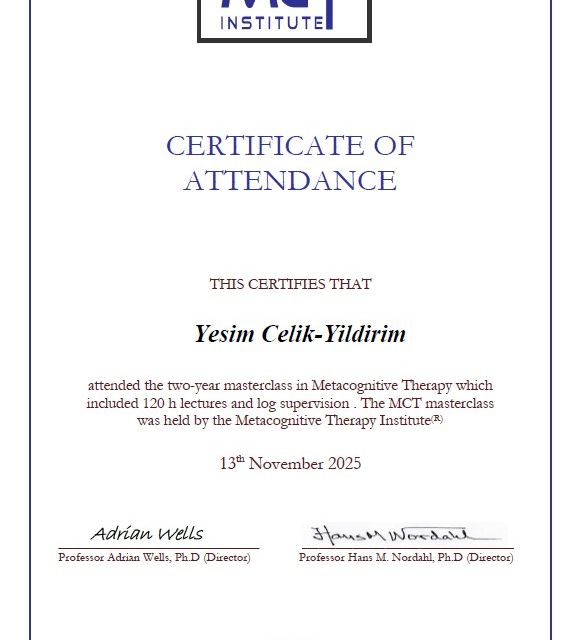 Resmi büyüt: certificate 11