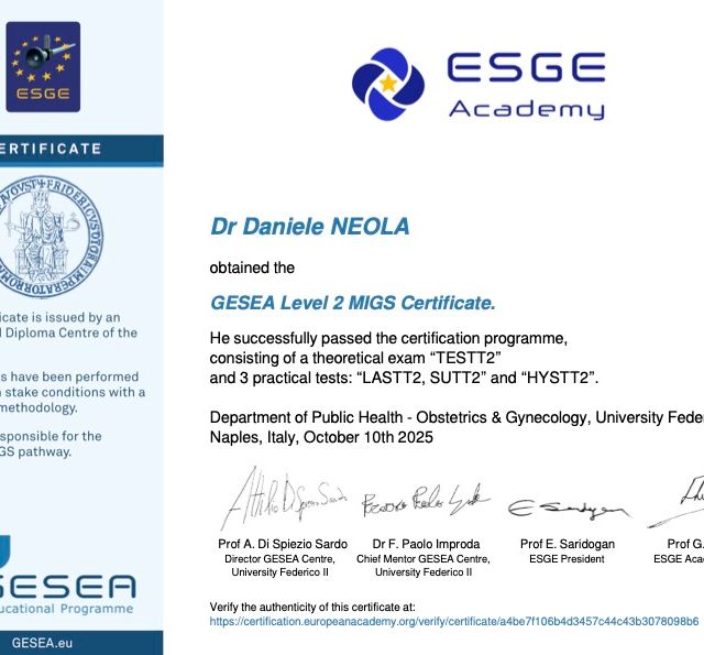 Ingrandire l'immagine: certificate 3