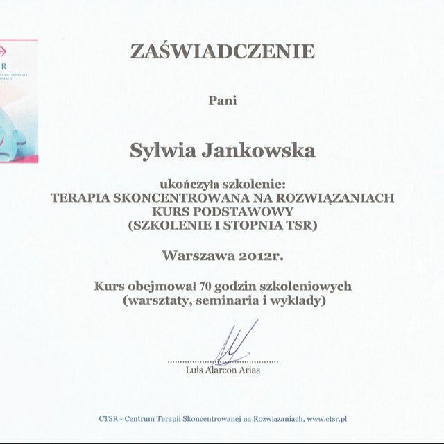 Powiększ obraz: certificate 1