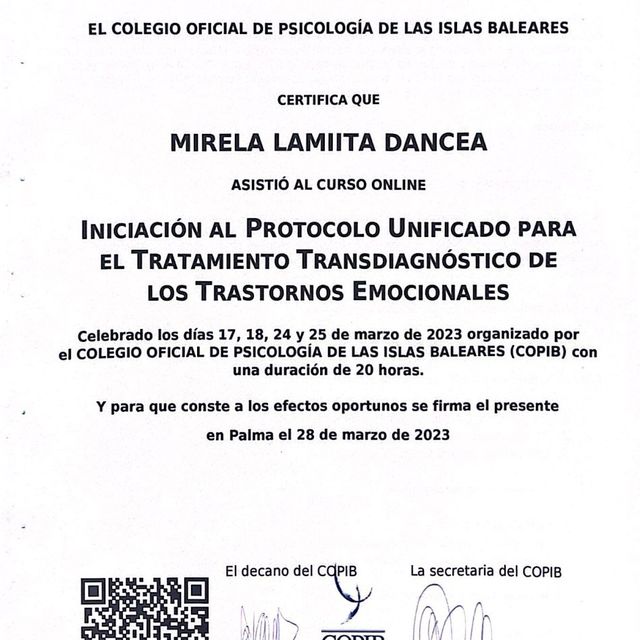 Acercar imagen: certificate 17