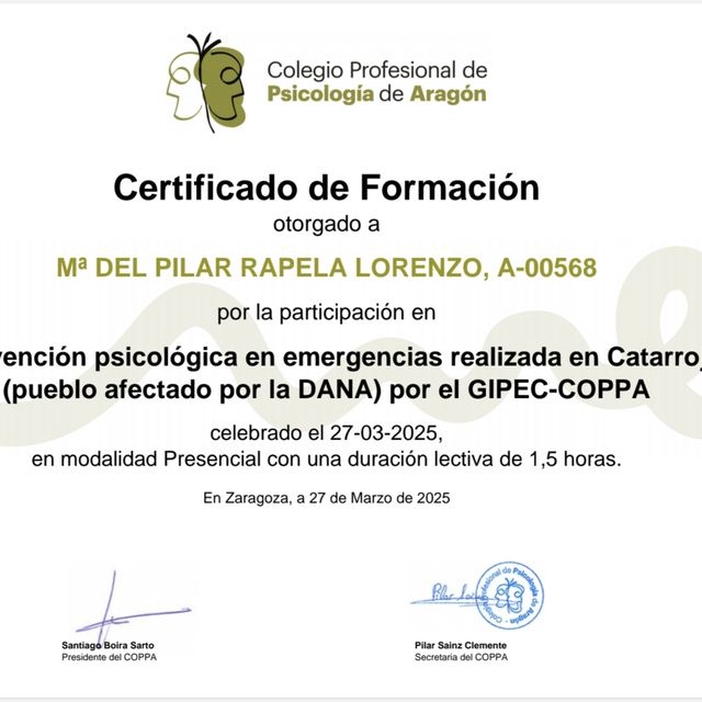 Acercar imagen: certificate 4
