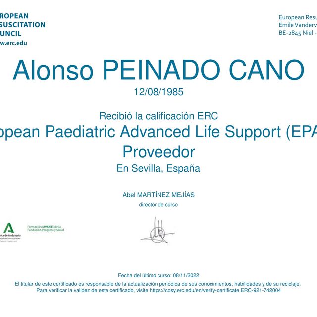 Acercar imagen: certificate 17