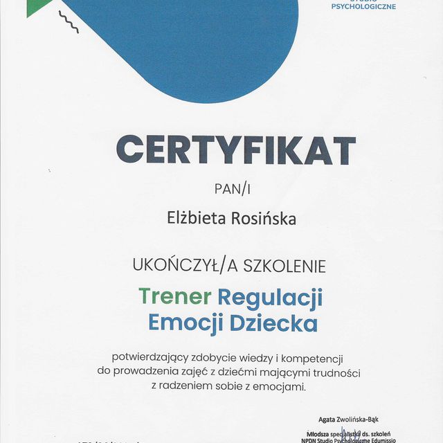 Powiększ obraz: certificate 1