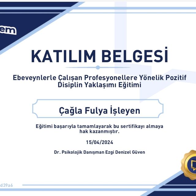 Resmi büyüt: certificate 11