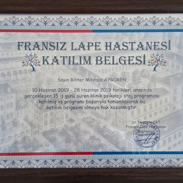 Resmi büyüt: certificate 1