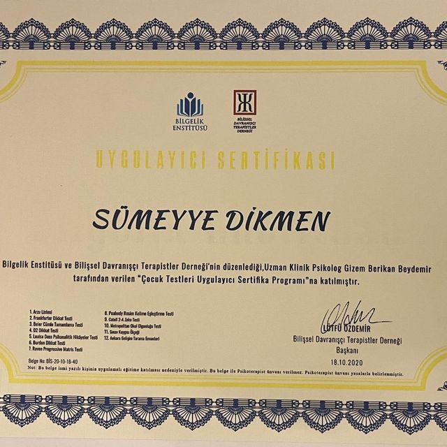 Resmi büyüt: certificate 33