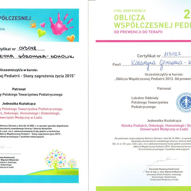Powiększ obraz: certificate 23