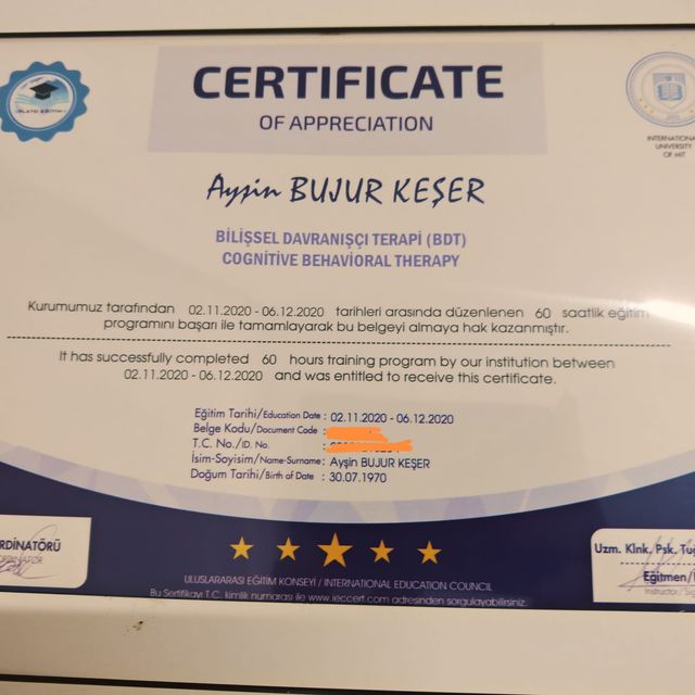 Resmi büyüt: certificate 11