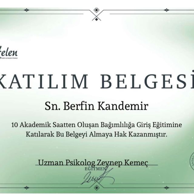 Resmi büyüt: certificate 19