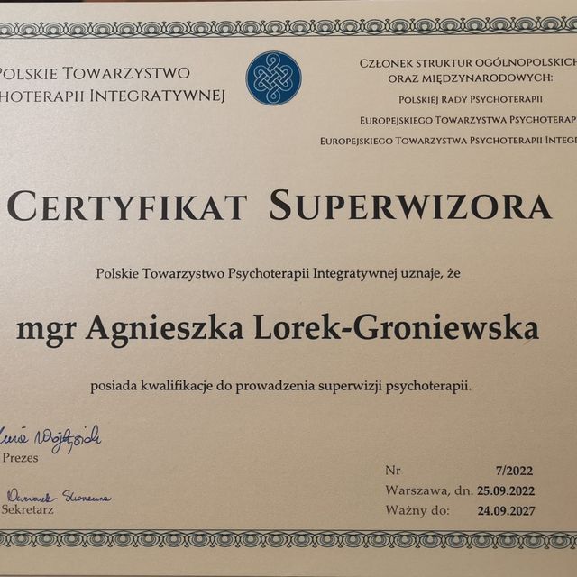 Powiększ obraz: certificate 1