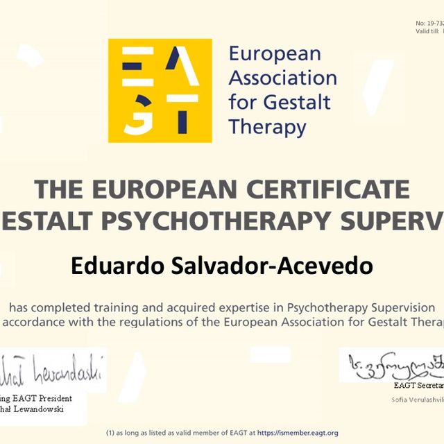 Acercar imagen: certificate 7