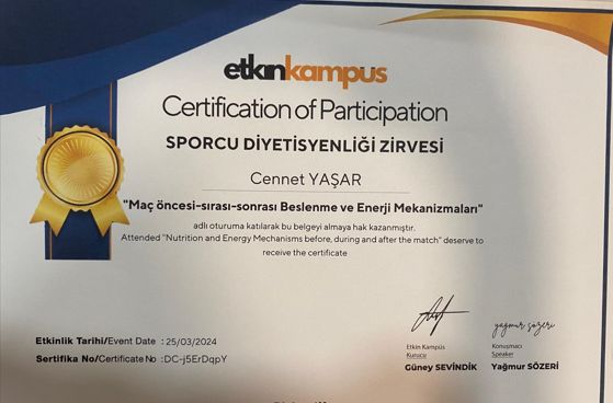 Resmi büyüt: certificate 6