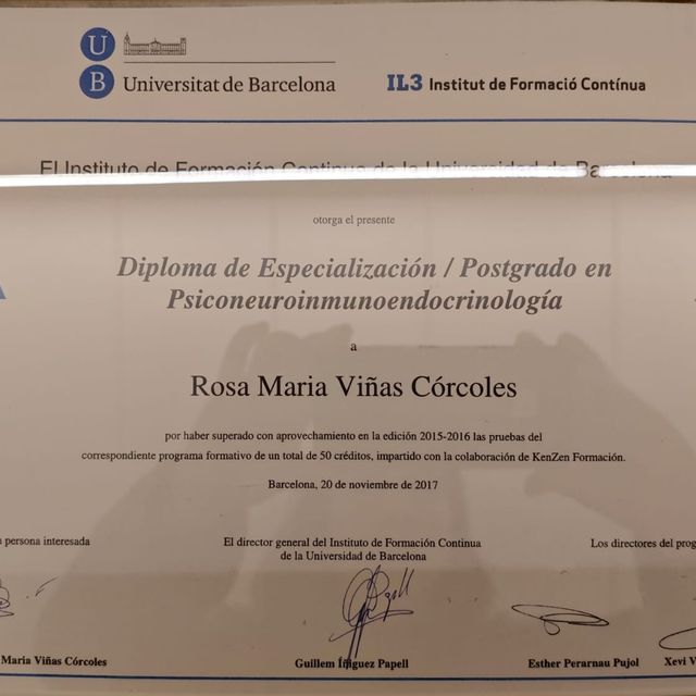 Acercar imagen: certificate 1