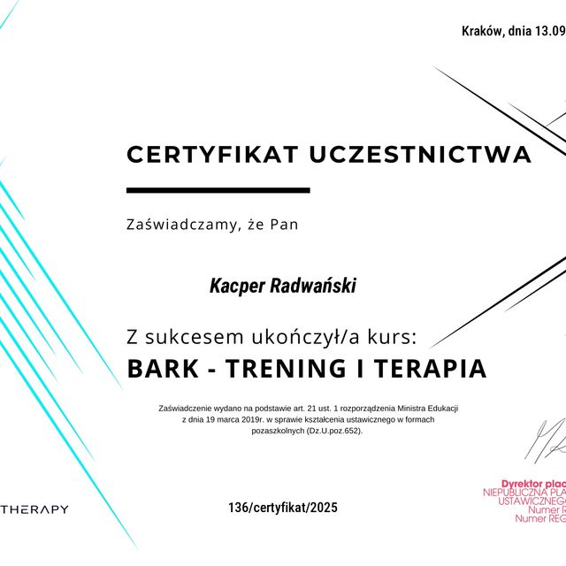 Powiększ obraz: certificate 9