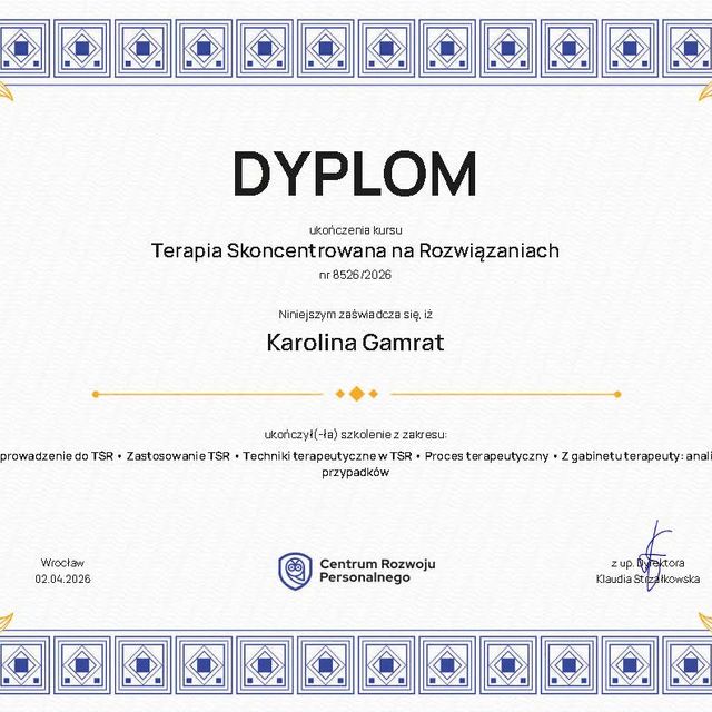 Powiększ obraz: certificate 3