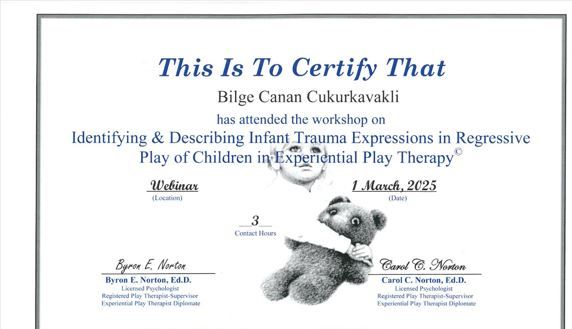 Resmi büyüt: certificate 4