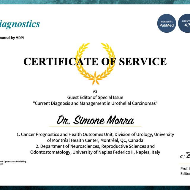 Ingrandire l'immagine: certificate 7