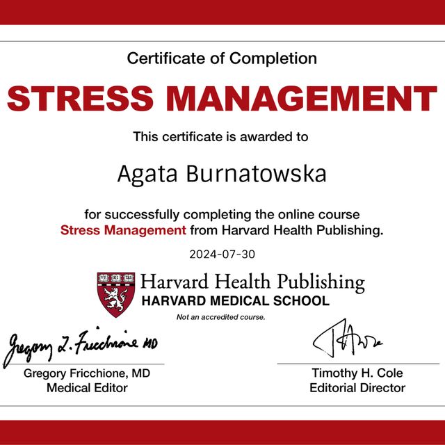 Powiększ obraz: certificate 2