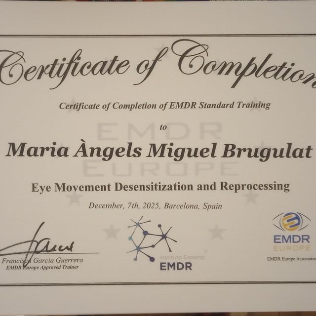 Acercar imagen: certificate 8